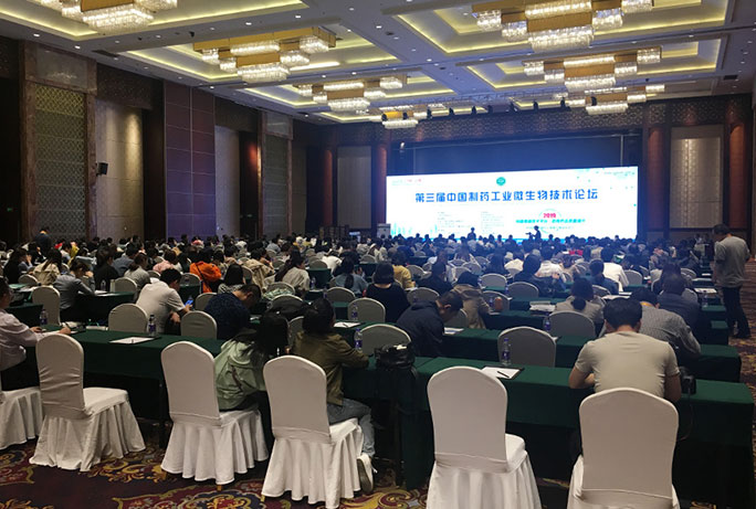 和漂亮老师做爰4