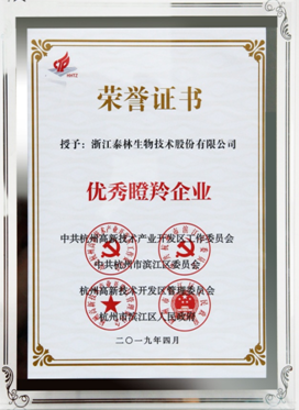 和漂亮老师做爰4