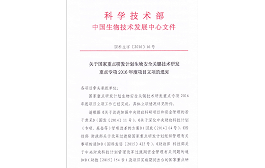 和漂亮老师做爰4