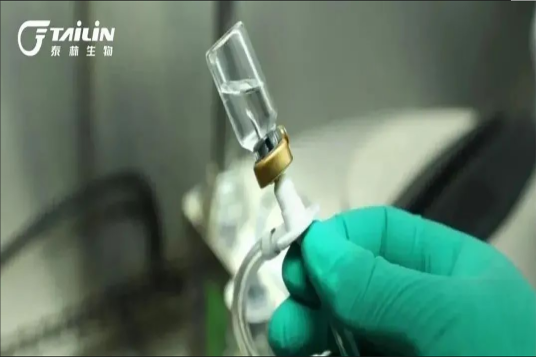 和漂亮老师做爰4