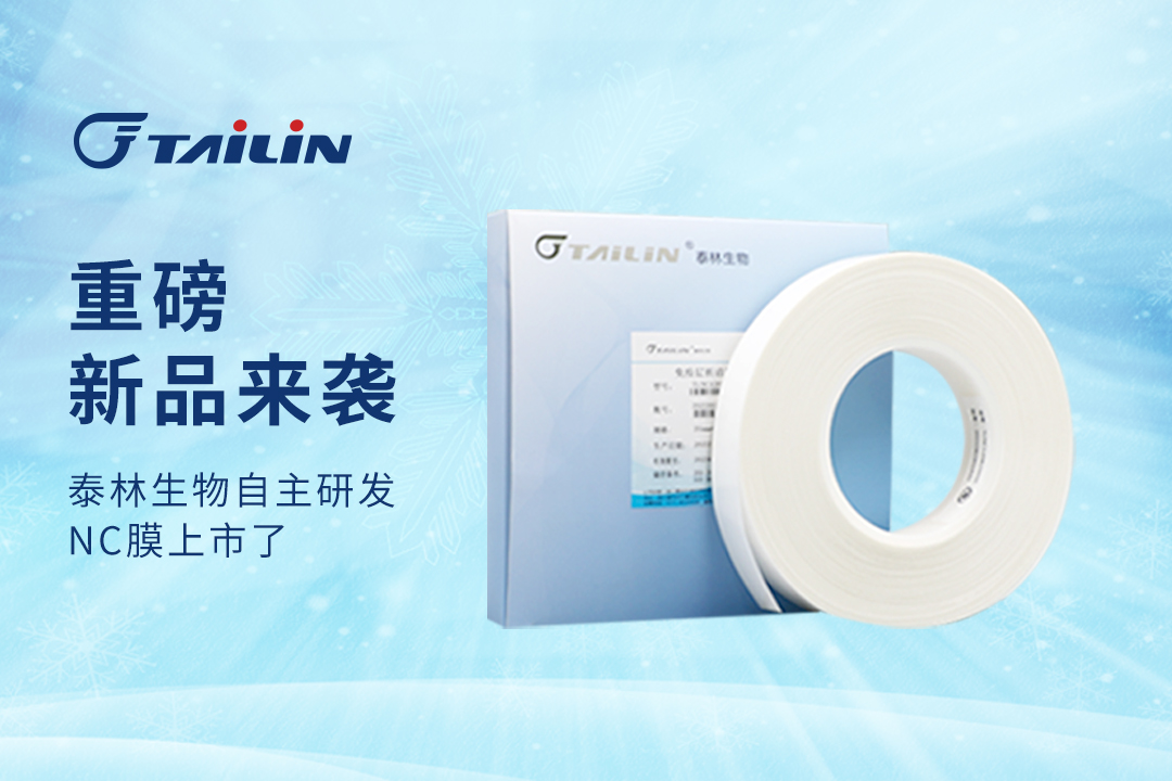 和漂亮老师做爰4