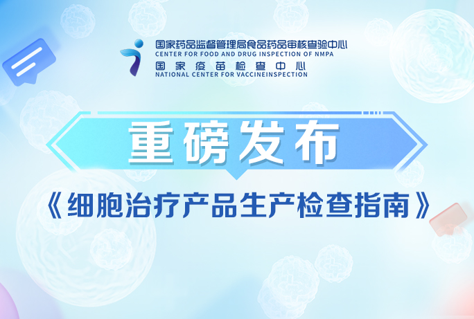 和漂亮老师做爰4