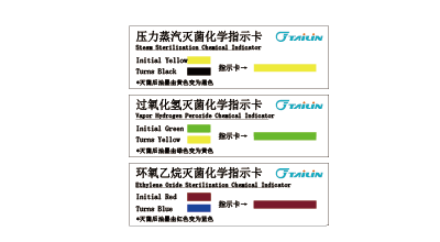 和漂亮老师做爰4